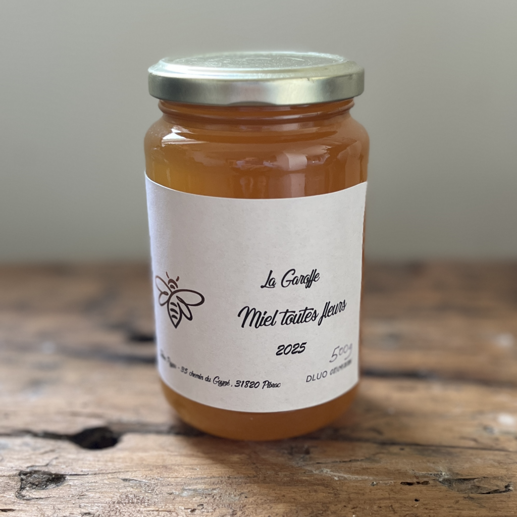 Blagnac Colomiers Pibrac Environ Autour Proche Près Toulouse Région 31 Haute Garonne